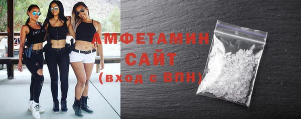 гашик Семилуки
