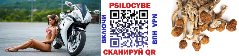 МЕГА онион Невьянск Псилоцибиновые грибы Cubensis